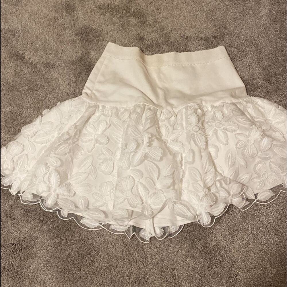 ALEXIS Embroidered Mini Skirt - Picture 4 of 12